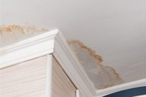 Experienced Water Damage Specialists in Hampshire