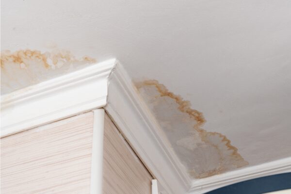  Experienced Water Damage Specialists in Hampshire