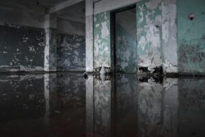 Water Damage Restoration Service In Portsmouth