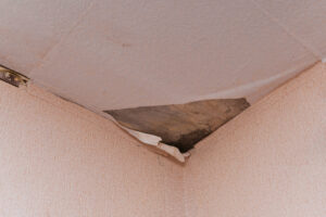 Home Leak Detection Hampshire - mould on ceiling due to leak