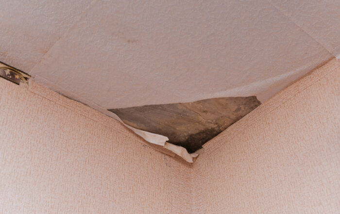 Home Leak Detection Hampshire - mould on ceiling due to leak