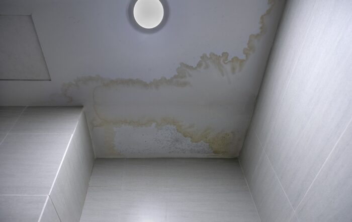 Fix Ceiling Water Damage and Stop Leaks Before They Start - Mildew Stains