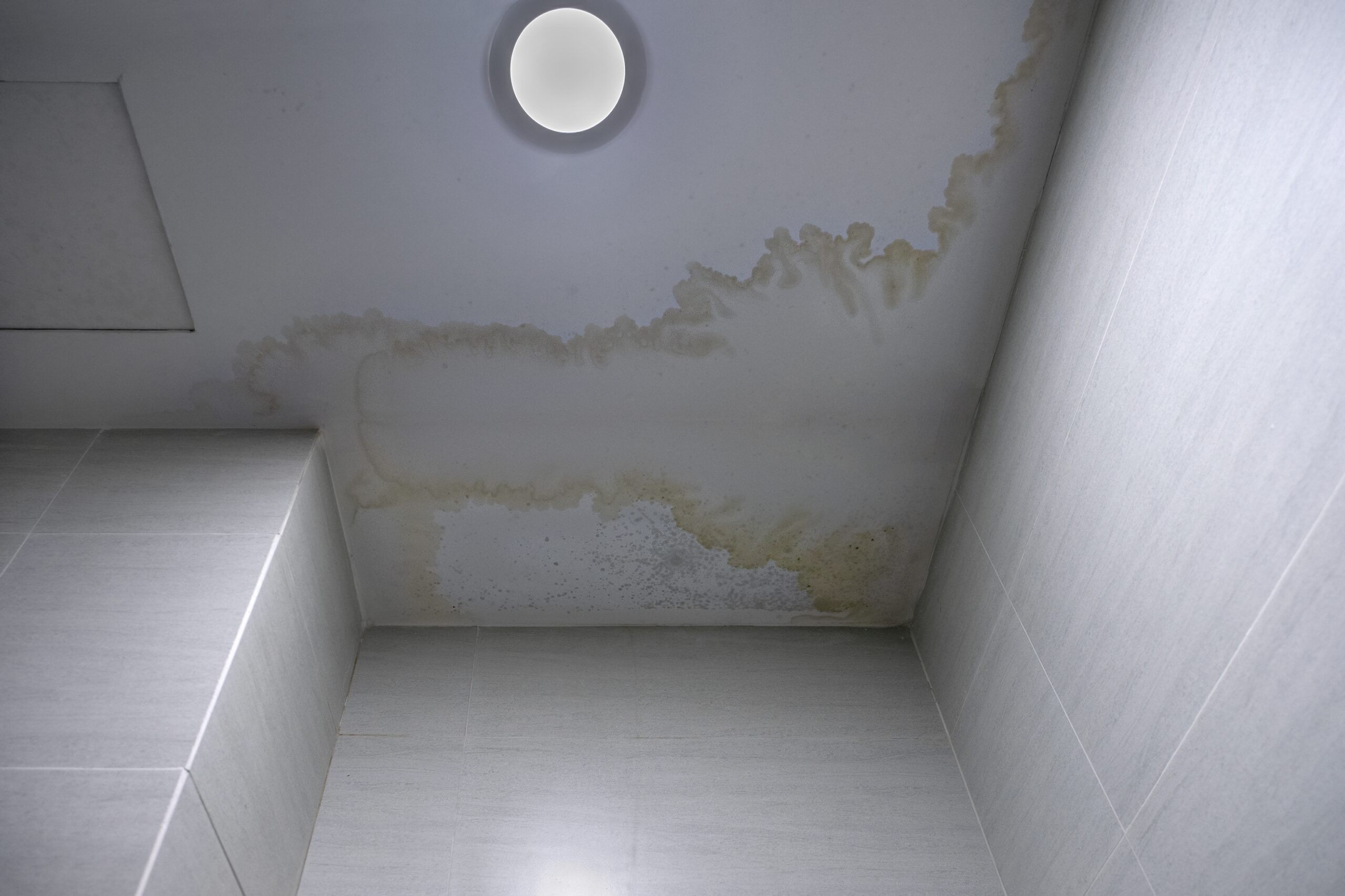 Fix Ceiling Water Damage and Stop Leaks Before They Start - Mildew Stains
