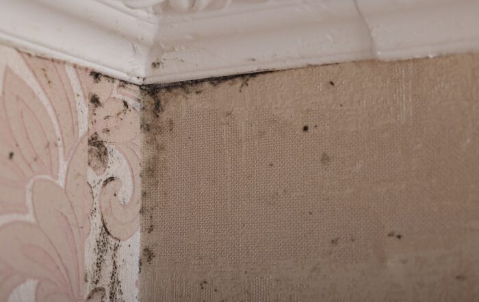 Preserving Property Value Damp Proofing in Hampshire