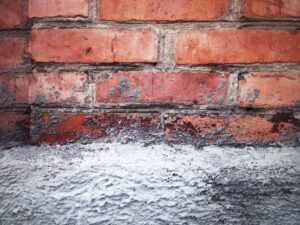 Safeguarding Coastal Properties Damp Proofing Specialists Southsea - Brick wall