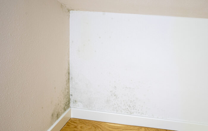 A Homeowner’s Guide to Damp Proofing in Portsmouth