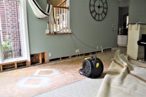fire and flood insurance claims